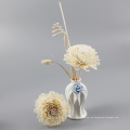 Hochwertige Dekoration Sola Flower Diffusor Reed Sticks mit niedrigem Preis